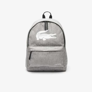 Lacoste Backpack with Laptop Pocket Gris Chine | OGNJ-16384