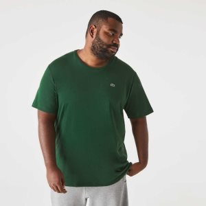 Lacoste Big Fit Crew Neck Cotton Jersey T-Shirt Green | FWUZ-84759