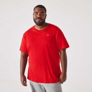 Lacoste Big Fit Crew Neck Cotton Jersey T-Shirt Red | MSRQ-31405