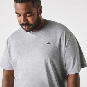 Lacoste Big Fit V-Neck Jersey T-Shirt Grey Chine | EOWG-81467