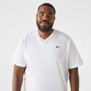 Lacoste Big Fit V-Neck Jersey T-Shirt White | USIF-12407