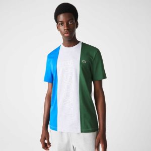 Lacoste Branded Crew Neck Cotton T-Shirt Grey Chine / Blue / Green | ETWZ-57934