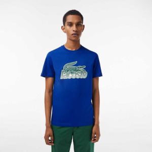 Lacoste Cotton Jersey Print T-Shirt Blue | NHPY-74092