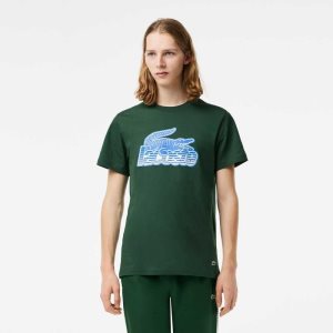 Lacoste Cotton Jersey Print T-Shirt Green | QVRZ-25016
