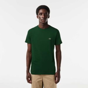 Lacoste Crew Neck Pima Cotton Jersey T-Shirt Green | DKTQ-08236