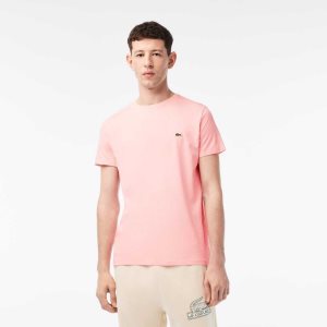 Lacoste Crew Neck Pima Cotton Jersey T-Shirt Pink | TXYM-40986