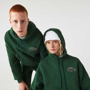 Lacoste Loose Fit Hooded Organic Cotton Sweatshirt Green | CKHE-80534
