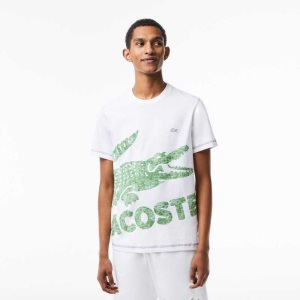 Lacoste Regular Fit Organic Cotton Jersey T-Shirt White | HCYE-94380