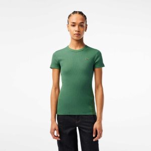 Lacoste Slim Fit Organic Cotton T-Shirt Khaki Green | RXIN-64789