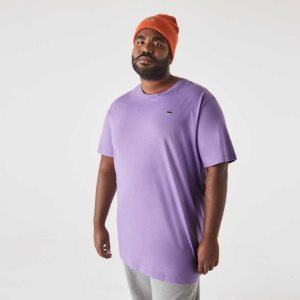 Lacoste Tall Fit Pima Cotton Jersey T-Shirt Purple | HJGI-54016