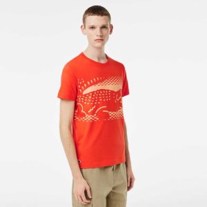 Lacoste Tennis x Novak Djokovic T-Shirt Orange | YOHM-69052