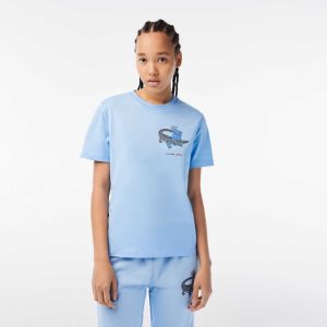Lacoste x Netflix Organic Cotton Jersey T-Shirt Blue | WFEK-28594