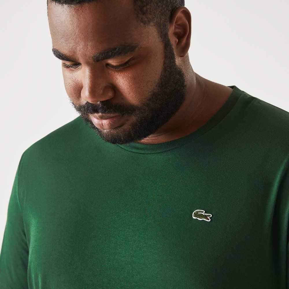 Lacoste Big Fit Crew Neck Cotton Jersey T-Shirt Green | FWUZ-84759