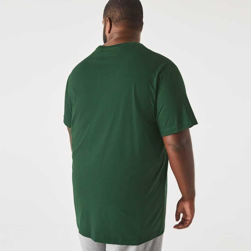 Lacoste Big Fit Crew Neck Cotton Jersey T-Shirt Green | FWUZ-84759