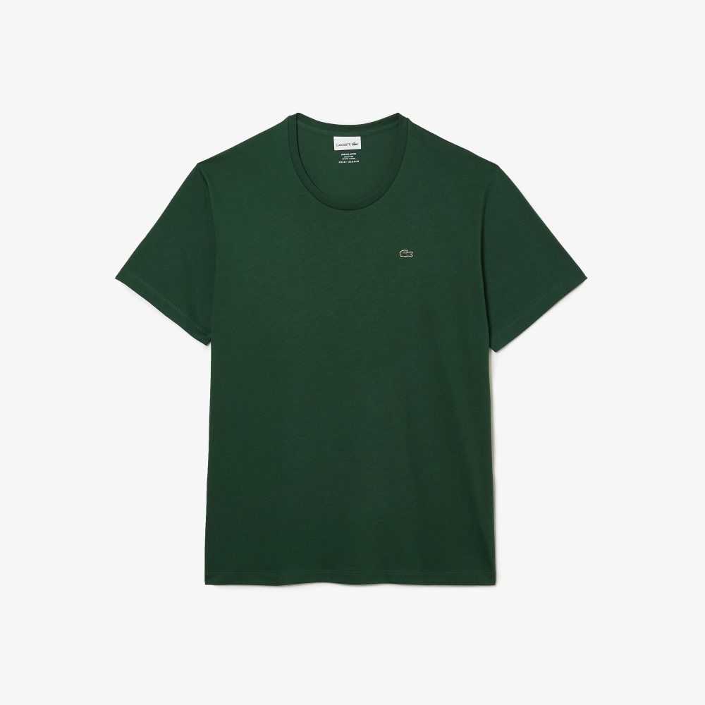 Lacoste Big Fit Crew Neck Cotton Jersey T-Shirt Green | FWUZ-84759