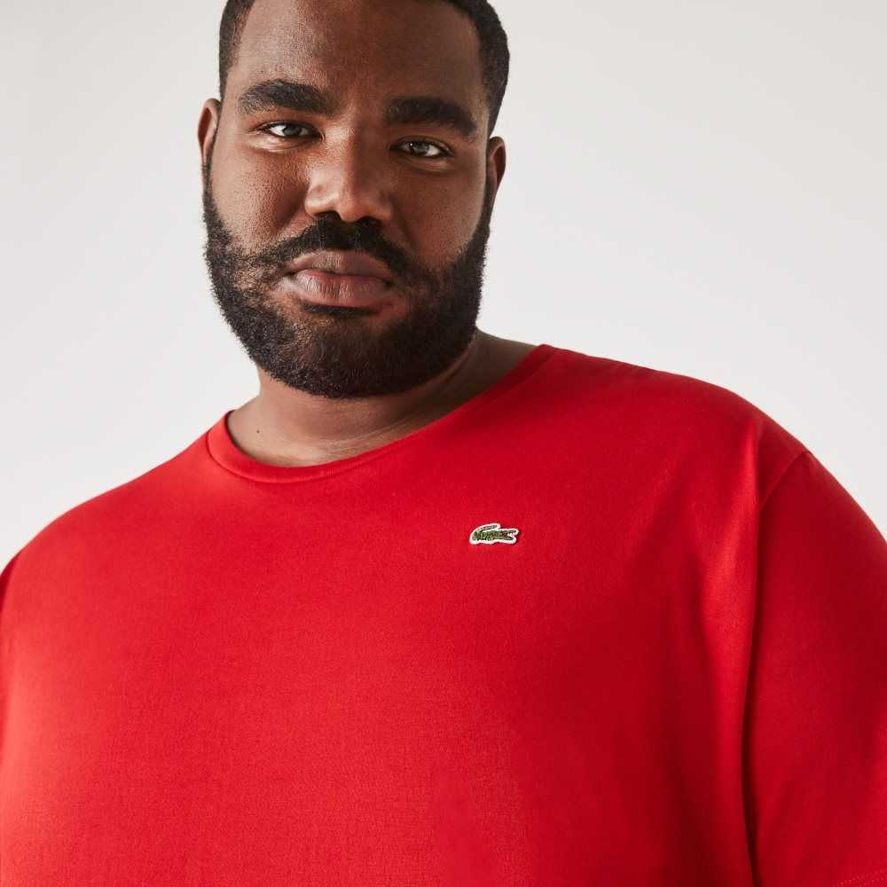 Lacoste Big Fit Crew Neck Cotton Jersey T-Shirt Red | MSRQ-31405