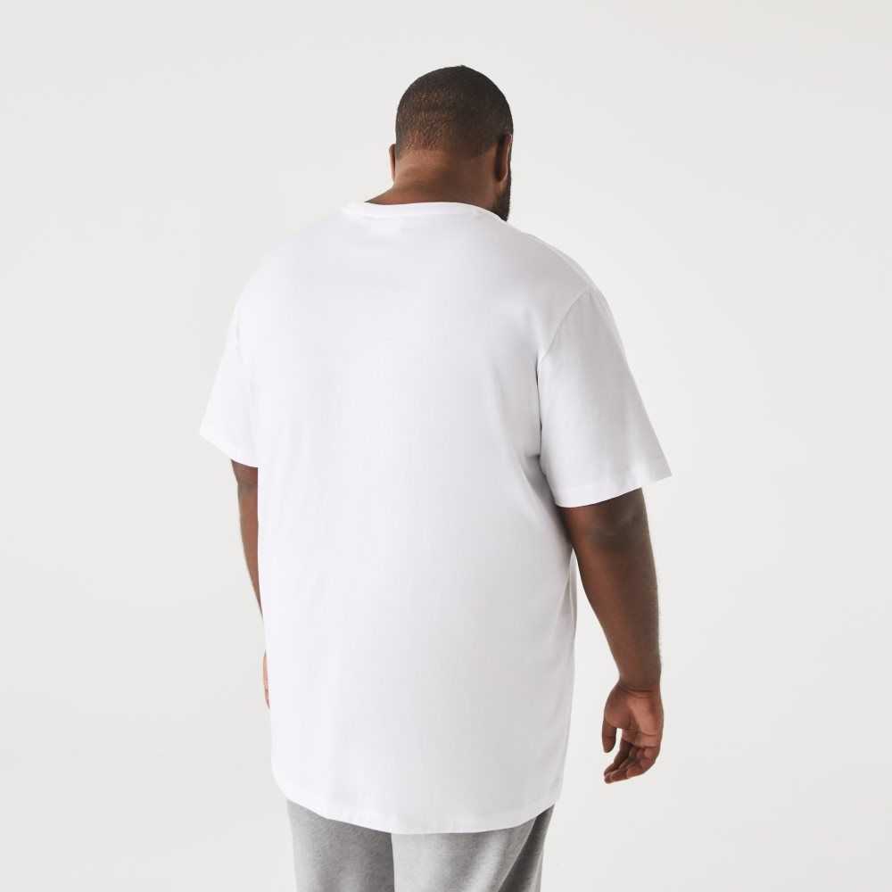 Lacoste Big Fit Crew Neck Cotton Jersey T-Shirt White | SDNU-27985