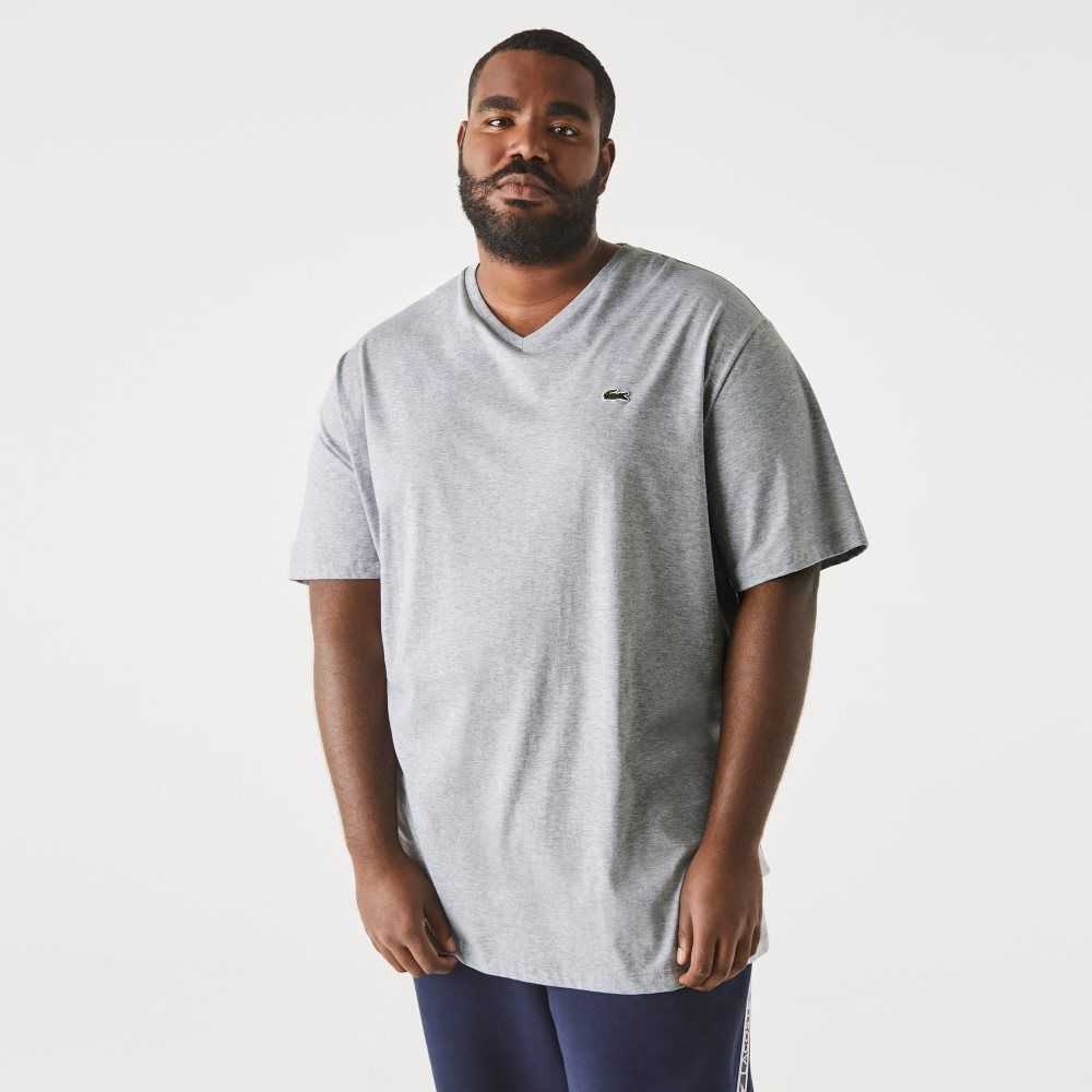 Lacoste Big Fit V-Neck Jersey T-Shirt Grey Chine | EOWG-81467