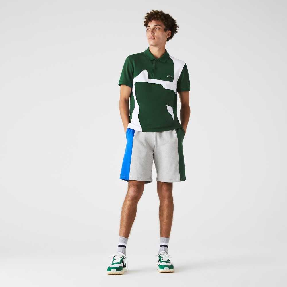 Lacoste Branded Cotton Fleece Blend Shorts Grey Chine / Blue / Green | NIMD-13406