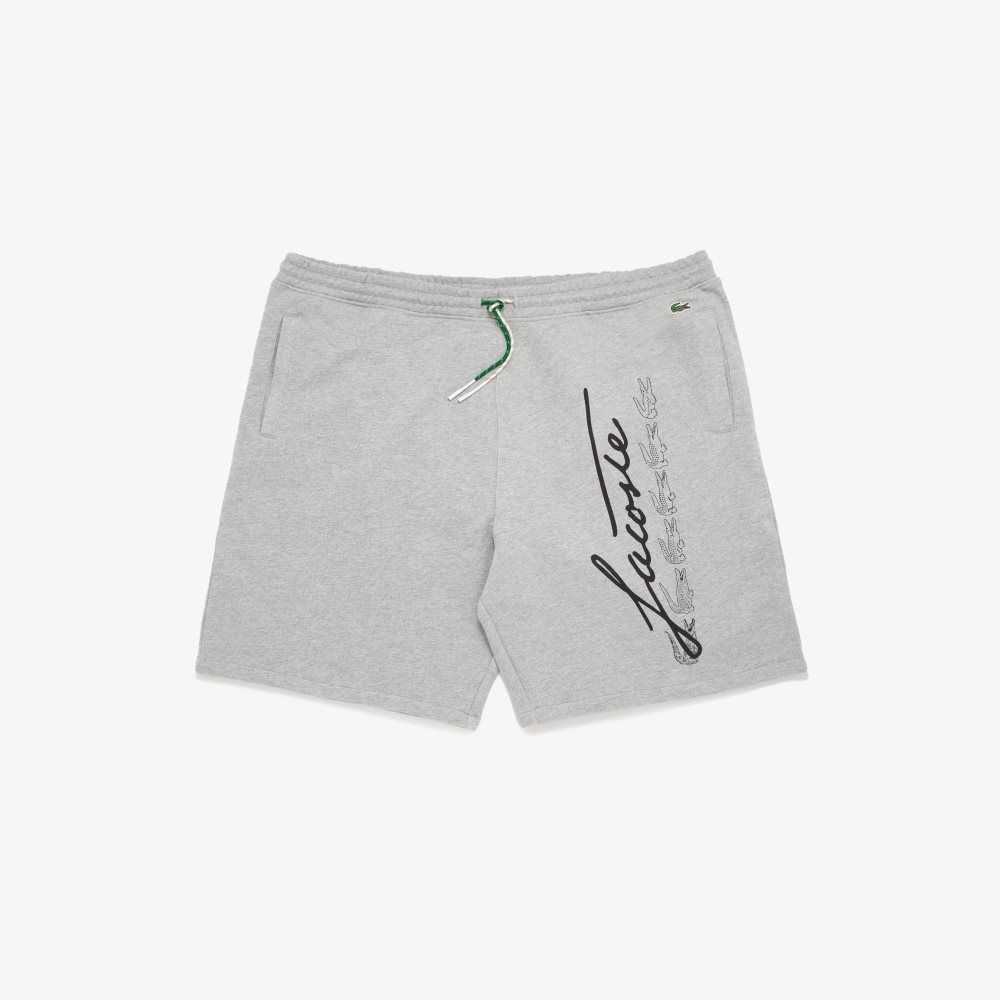 Lacoste Branded Cotton Shorts Grey Chine | EFJW-93860