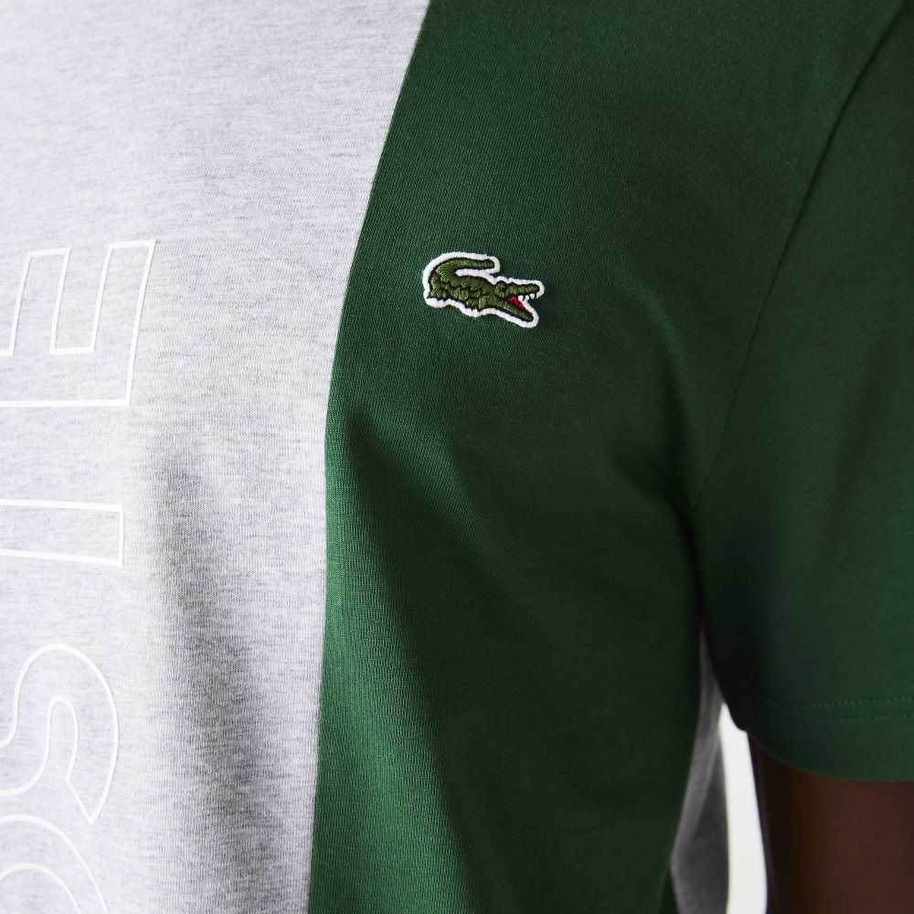 Lacoste Branded Crew Neck Cotton T-Shirt Grey Chine / Blue / Green | ETWZ-57934