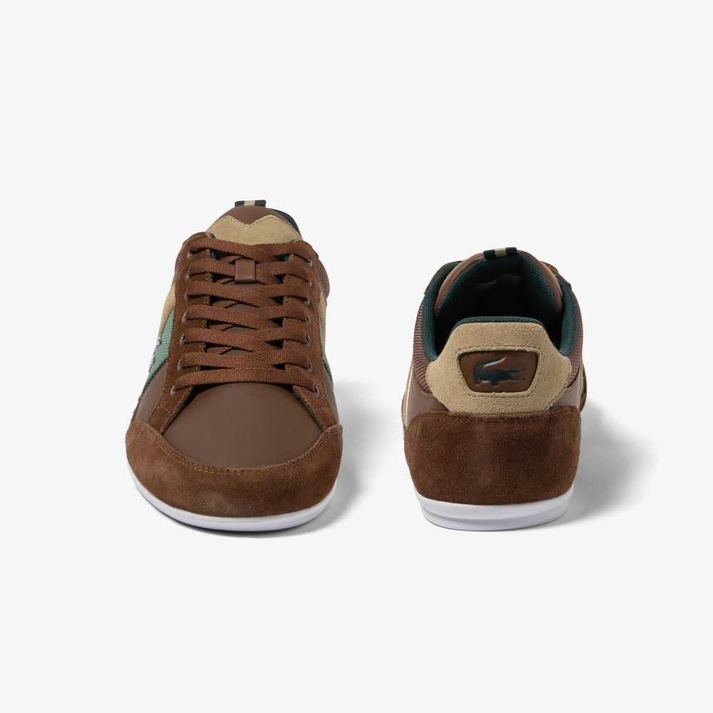 Lacoste Chaymon Leather Sneakers Dk Brw/Dk Grn | ERJB-05386