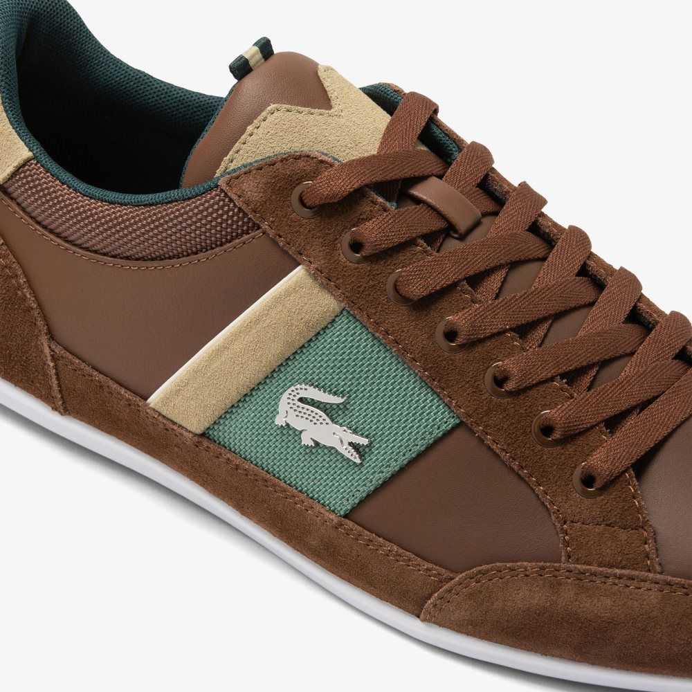 Lacoste Chaymon Leather Sneakers Dk Brw/Dk Grn | ERJB-05386