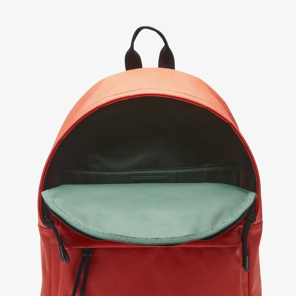 Lacoste Computer Compartment Backpack Pasteque | FSEA-53047