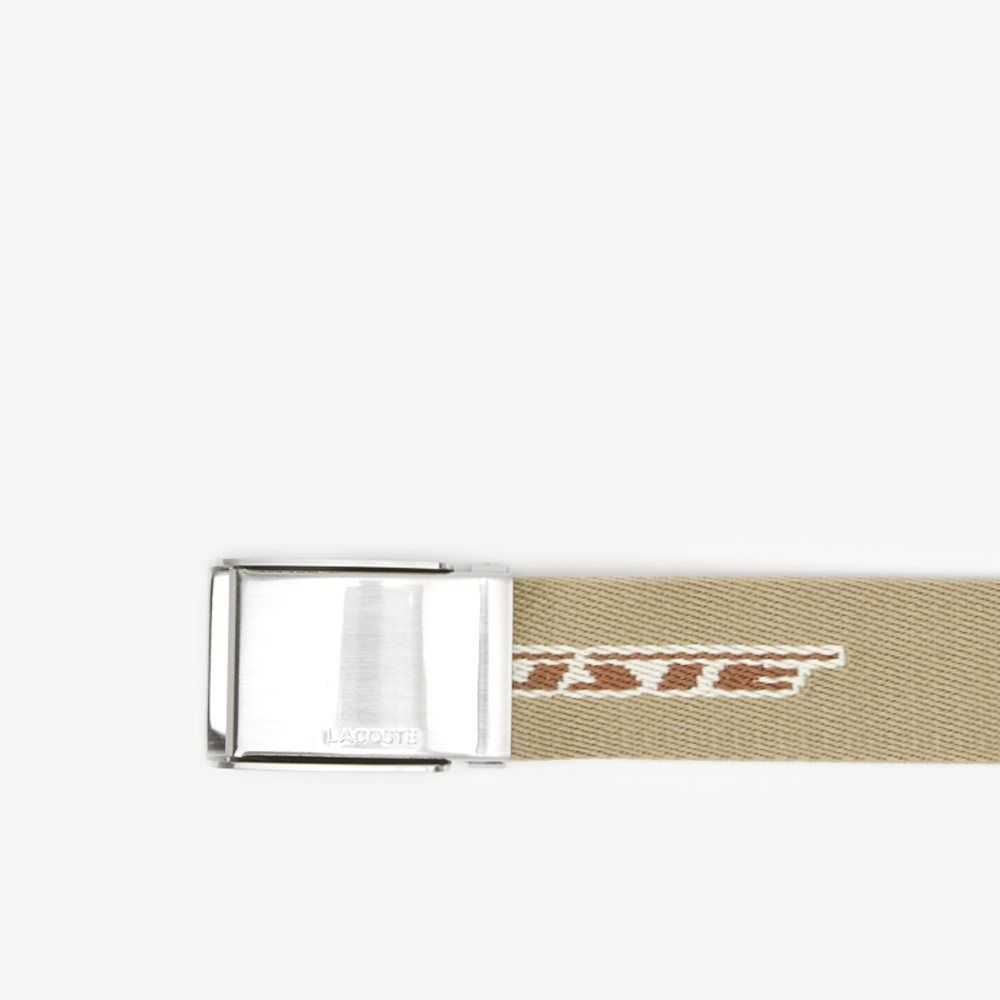 Lacoste Contrast Logo Print Belt Lion Pecan Farine | NBAQ-04351