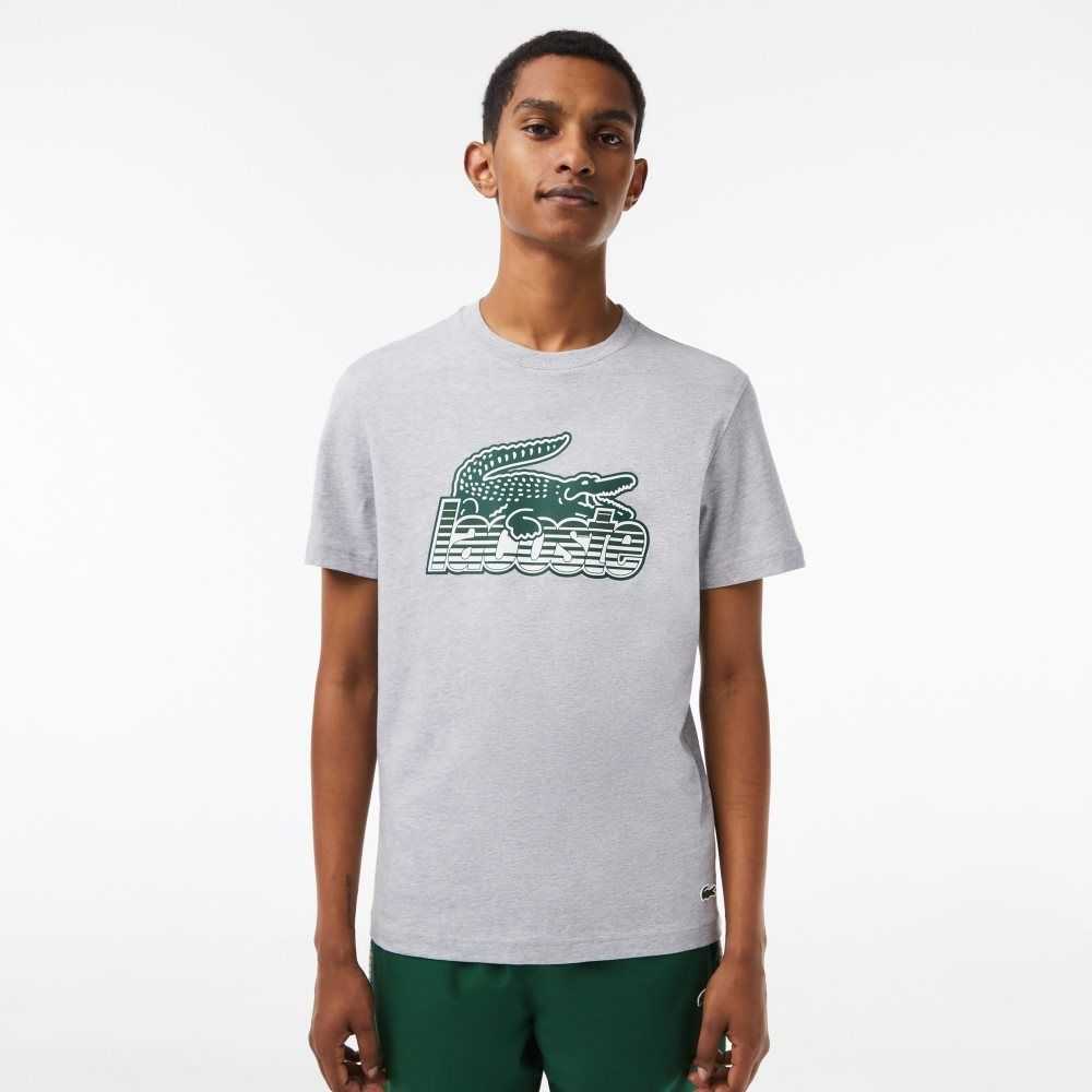 Lacoste Cotton Jersey Print T-Shirt Grey Chine | BPZT-15289