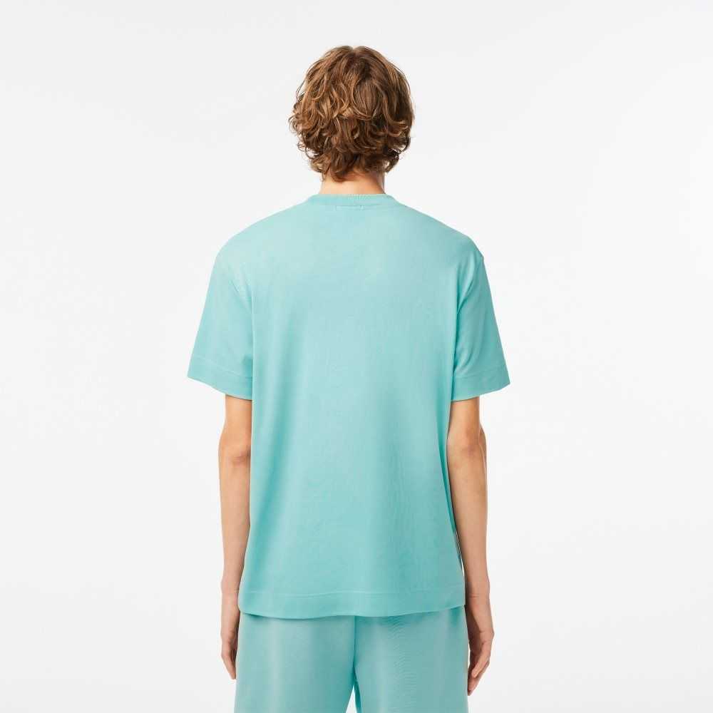 Lacoste Crew Neck Organic Cotton T-Shirt Mint | JHQV-91425