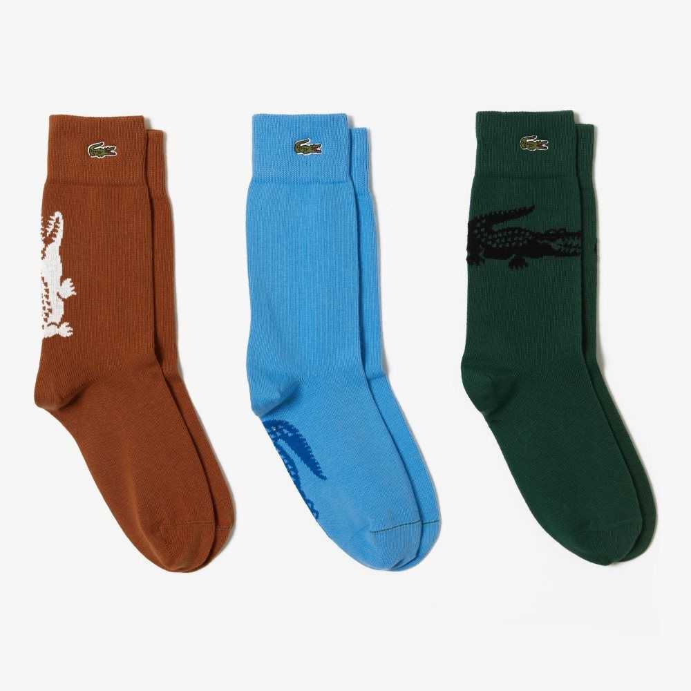 Lacoste Crocodile Pattern Sock Three-Pack Brown / White / Green / Black / Blue | DQGC-50791