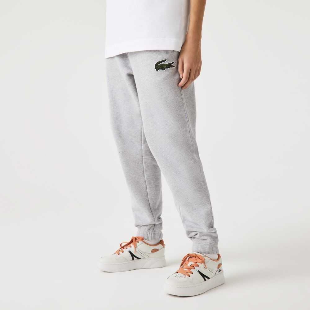 Lacoste Organic Cotton Fleece Trackpants Grey Chine | TOBY-95021