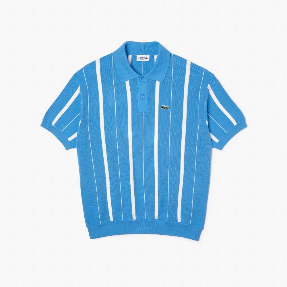 Lacoste Organic Cotton Polo Neck Sweater Blue / White | YPGO-49205