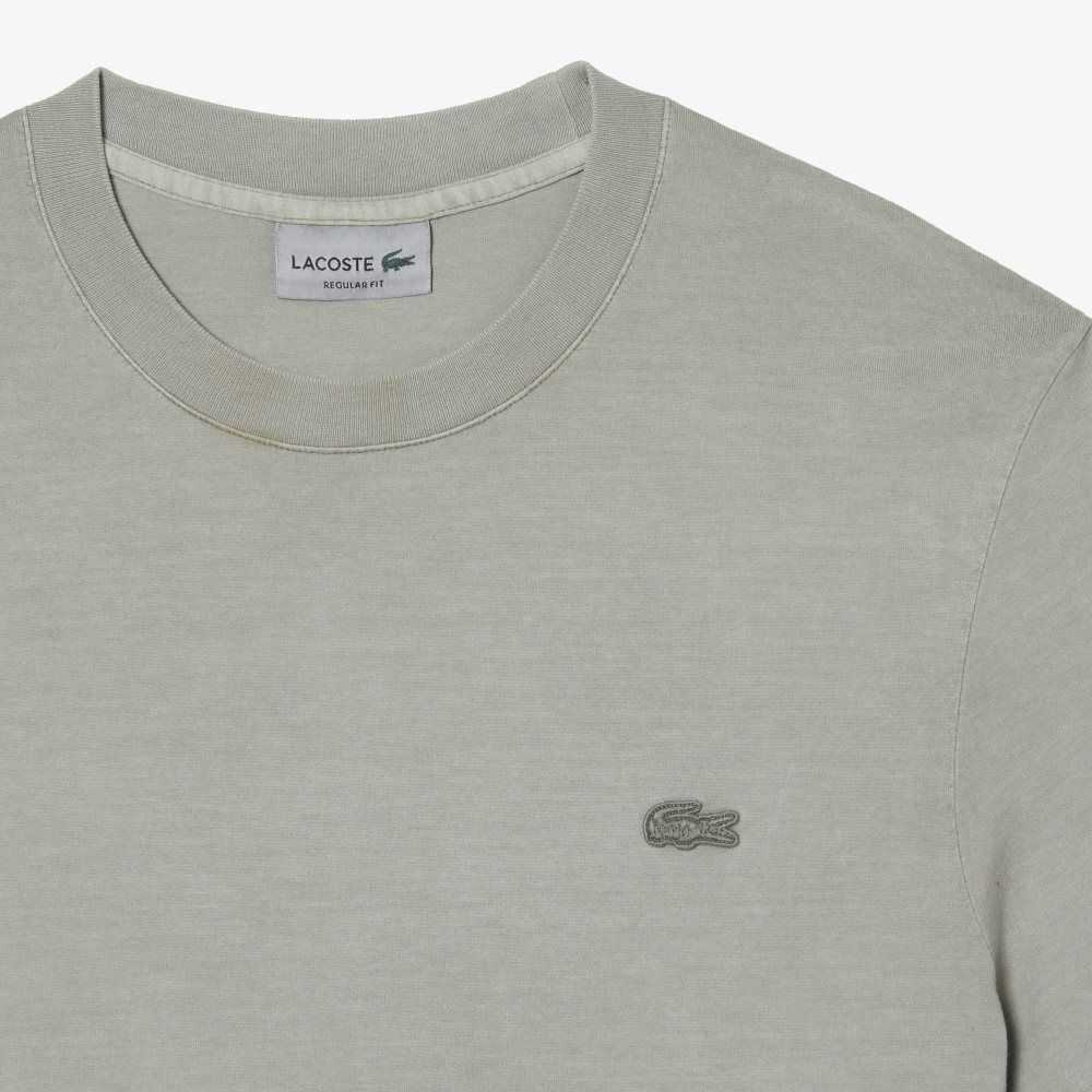 Lacoste Plain Organic Cotton T-Shirt Light Green | PFMC-20567