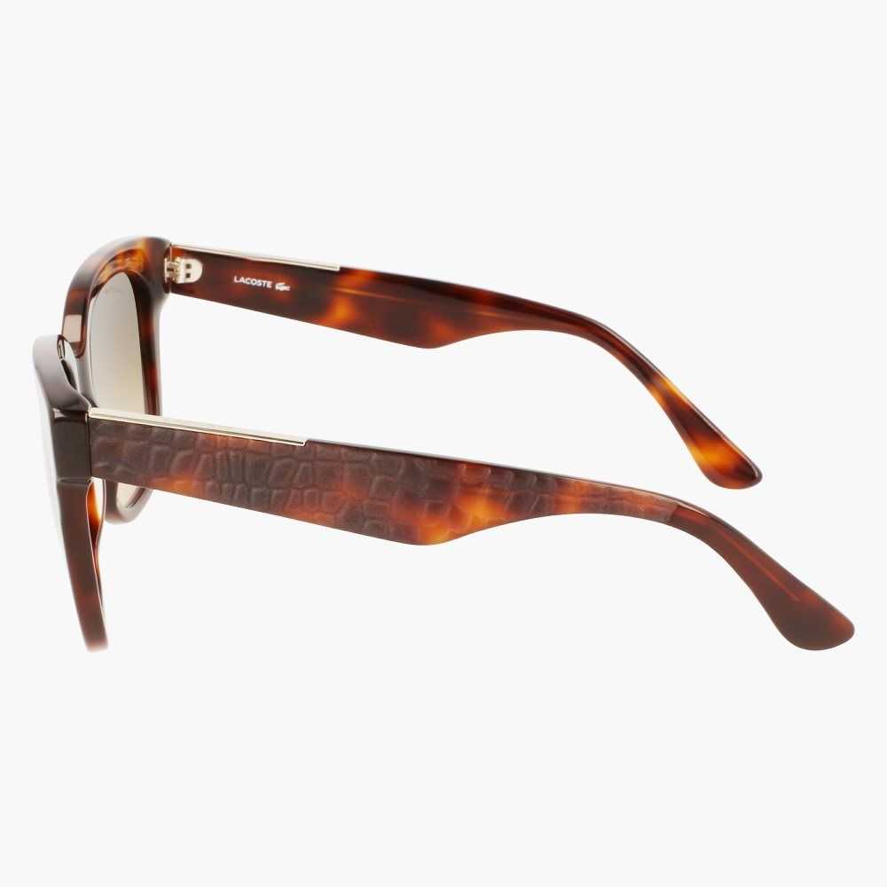 Lacoste Rectangle Acetate Croco Skin Sunglasses Matte Havana | ZPDX-30259