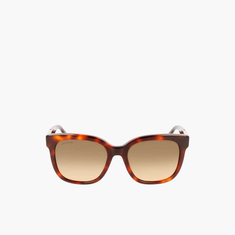 Lacoste Rectangle Acetate Croco Skin Sunglasses Matte Havana | ZPDX-30259