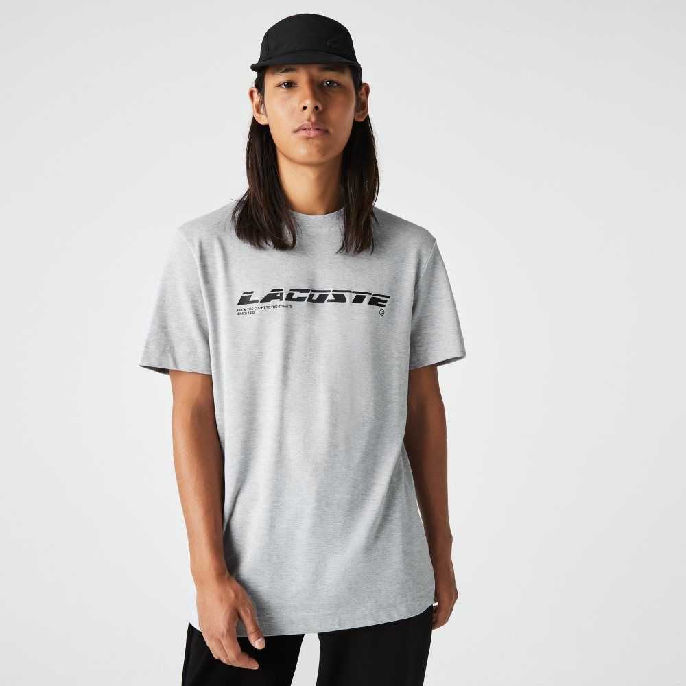 Lacoste Regular Fit Branded Pique T-Shirt Grey Chine | LYSF-72958