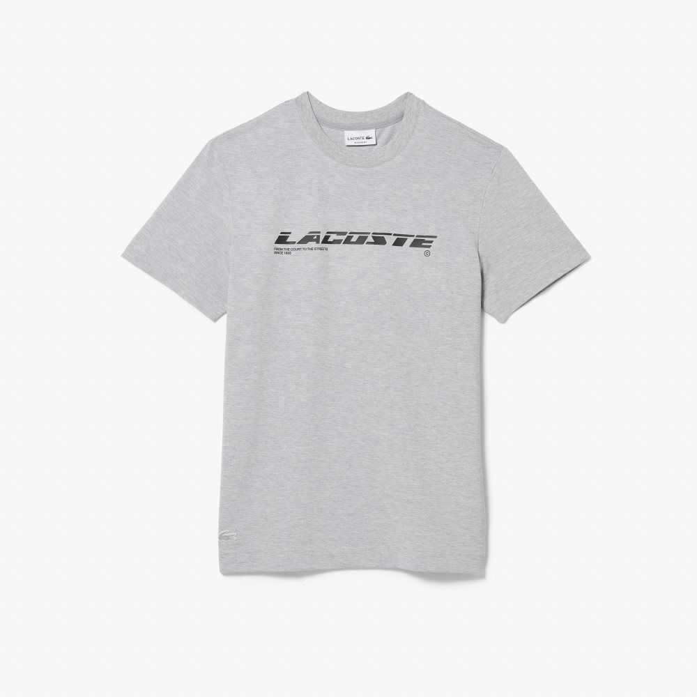 Lacoste Regular Fit Branded Pique T-Shirt Grey Chine | LYSF-72958