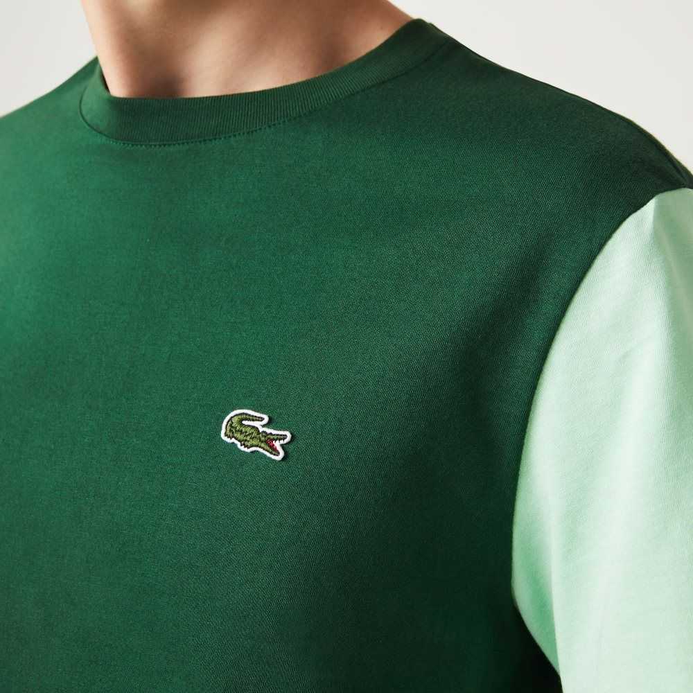Lacoste Regular Fit Colorblock Cotton Jersey T-Shirt Green / Blue / Light Green | CEON-09416