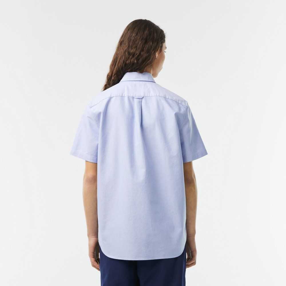 Lacoste Regular Fit Oxford Cotton Shirt Blue | ILAN-65382