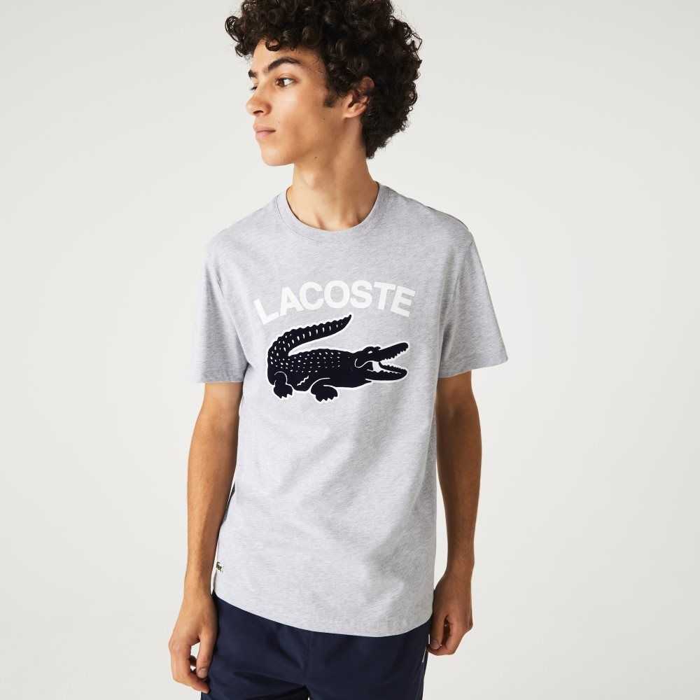 Lacoste Regular Fit XL Crocodile Print T-Shirt Grey Chine | VNYI-97145