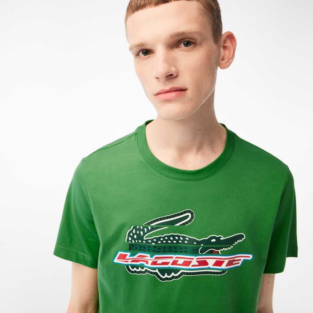 Lacoste SPORT Regular Fit Organic Cotton T-Shirt Green | FEBG-72015