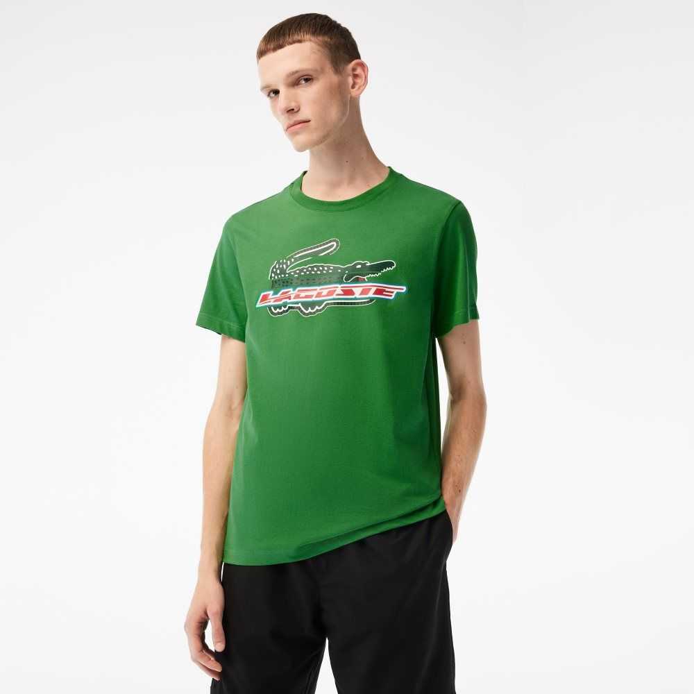 Lacoste SPORT Regular Fit Organic Cotton T-Shirt Green | FEBG-72015