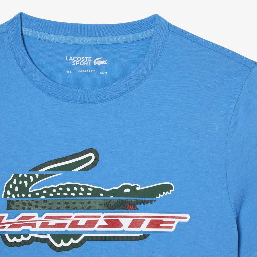 Lacoste SPORT Regular Fit Organic Cotton T-Shirt Blue | PRXV-01645