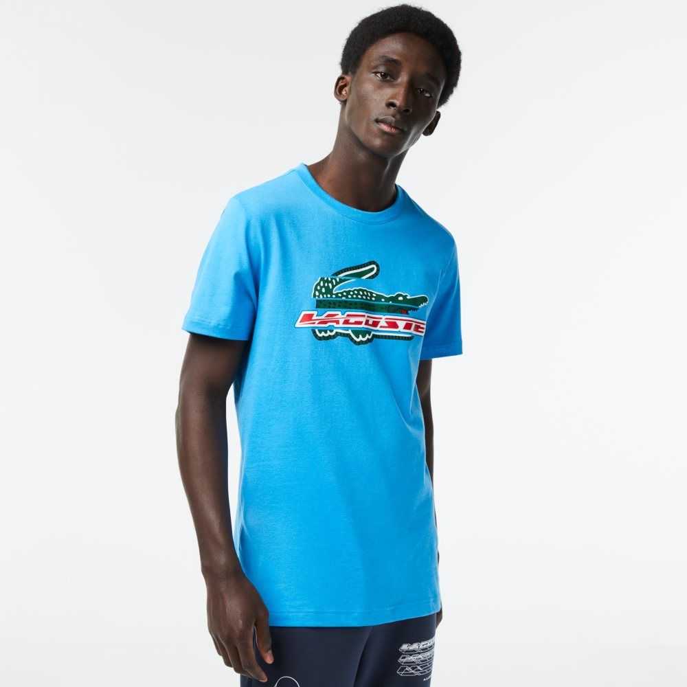 Lacoste SPORT Regular Fit Organic Cotton T-Shirt Blue | PRXV-01645