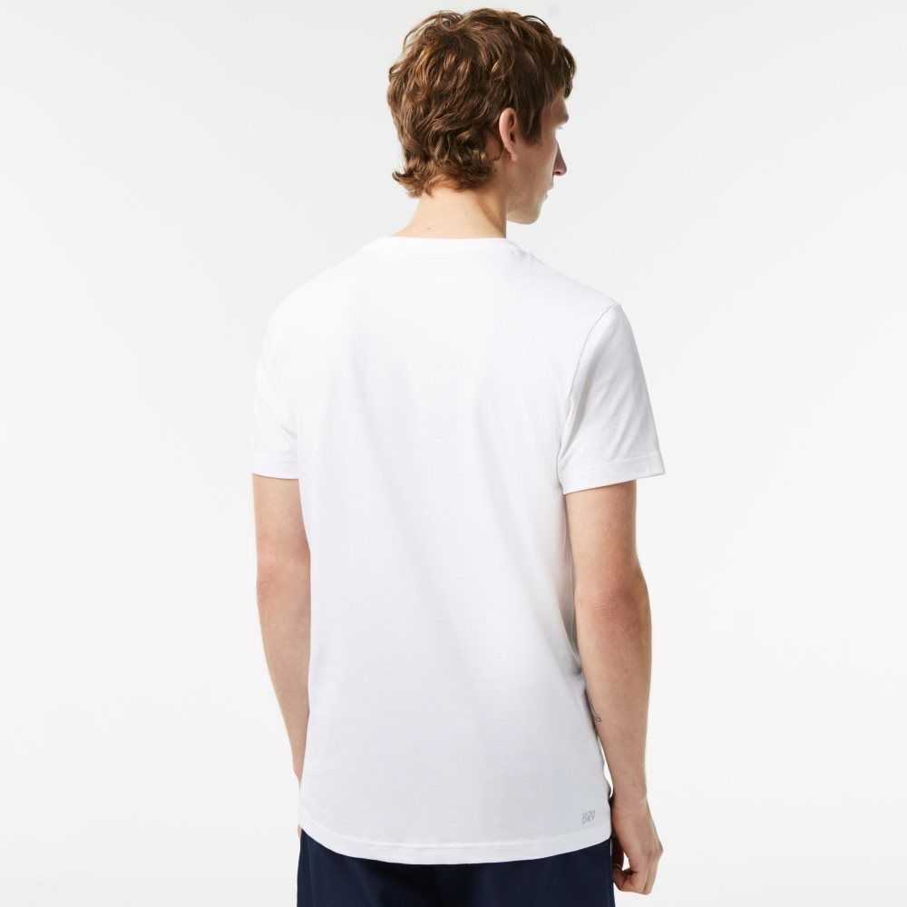 Lacoste SPORT Regular Fit T-Shirt with Contrast Branding White | IUYK-57694