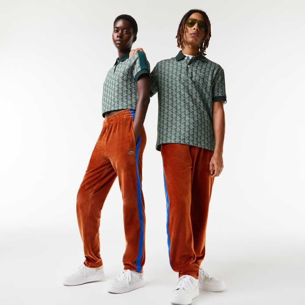 Lacoste Side Contrast Band Trackpants Brown | PFLK-81524
