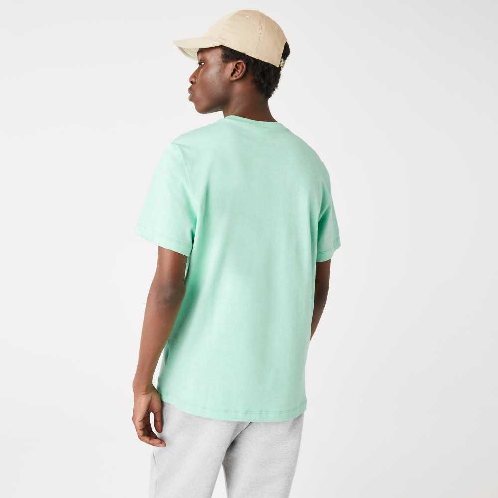 Lacoste Signature And Crocodile Print Crew Neck Cotton T-Shirt Green | DZQP-96423