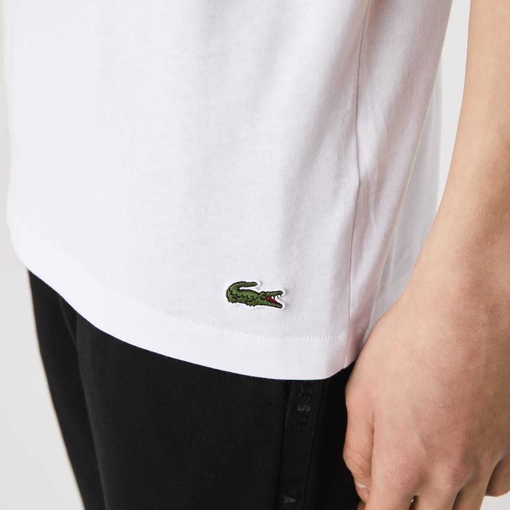 Lacoste Signature And Crocodile Print Crew Neck Cotton T-Shirt White | WDZQ-43758